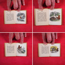 Load image into Gallery viewer, Voyages et aventures de Bob l'écureuil. Texte traduit de l'anglais. >>MINIATURE FRENCH BOOK OF A SQUIRREL<< Publication Date: 1834 CONDITION: VERY GOOD