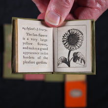 Load image into Gallery viewer, Infant's Library. Marshall, John. Circa 1800. 16 volumes. Complete with original sycamore bookcase.