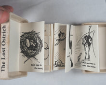 Load image into Gallery viewer, Berwick, Andrew, writen and illustrated by. The Lost Ostrich. Self-published. 2010.