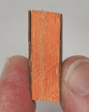 Load image into Gallery viewer, Bryce, David & Son. Glasgow. Advertising. Smallest English Dictionary in the World. Sydney Curio Shop promotional. Circa 1896.