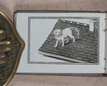 Load image into Gallery viewer, Petit Naturaliste. Marcilly. Rue St. Jacques, no. 10. Paris. No date but 1829.
