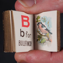 Load image into Gallery viewer, My Tiny Alphabet Book Bryce, David & Son. Glasgow. 1896. 2volumes in one.