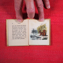 Load image into Gallery viewer, Voyages et aventures de Bob l'écureuil. Texte traduit de l'anglais. >>MINIATURE FRENCH BOOK OF A SQUIRREL<< Publication Date: 1834 CONDITION: VERY GOOD