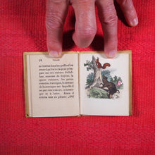 Load image into Gallery viewer, Voyages et aventures de Bob l'écureuil. Texte traduit de l'anglais. >>MINIATURE FRENCH BOOK OF A SQUIRREL<< Publication Date: 1834 CONDITION: VERY GOOD