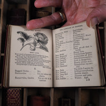 Load image into Gallery viewer, Miniature language of flowers. Burke, Anna Christian. Publication Date: 1864 CONDITION: VERY GOOD