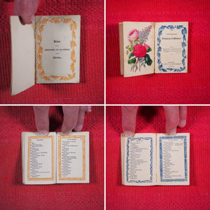 Emblematic Language of Flowers. >>ENCHANTING HARLEQUIN BORDERS<< Publication Date: 1844 CONDITION: GOOD