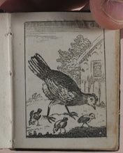 Load image into Gallery viewer, Marshall, John. Infant's Library. [Book 8] (Birds). Marshall, John. No. 4 Aldermary Churchyard in Watling Street. London. Circa 1800
