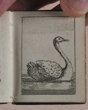 Load image into Gallery viewer, Marshall, John. Infant's Library. [Book 8] (Birds). Marshall, John. No. 4 Aldermary Churchyard in Watling Street. London. Circa 1800
