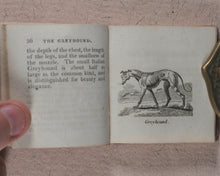 Load image into Gallery viewer, Mills, Alfred. Natural History of 48 Quadrupeds. Darton, Harvey &amp; Darton and J. Harris. London. 1815.
