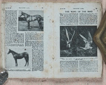Load image into Gallery viewer, Country Life [Journal]: Saturday September 19th 1923. Country Life. London. 1923.
