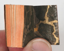 Load image into Gallery viewer, Bryce, David &amp; Son. Glasgow. Advertising. Smallest English Dictionary in the World. Sydney Curio Shop promotional. Circa 1896.
