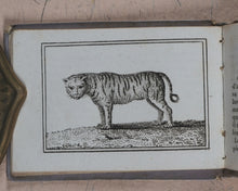 Load image into Gallery viewer, Petit Naturaliste. Marcilly. Rue St. Jacques, no. 10. Paris. No date but 1829.
