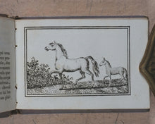 Load image into Gallery viewer, Petit Naturaliste. Marcilly. Rue St. Jacques, no. 10. Paris. No date but 1829.
