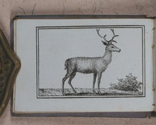 Load image into Gallery viewer, Petit Naturaliste. Marcilly. Rue St. Jacques, no. 10. Paris. No date but 1829.
