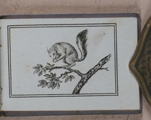 Load image into Gallery viewer, Petit Naturaliste. Marcilly. Rue St. Jacques, no. 10. Paris. No date but 1829.
