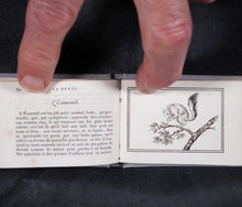 Load image into Gallery viewer, Petit Naturaliste. Marcilly. Rue St. Jacques, no. 10. Paris. 1829.
