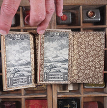 Load image into Gallery viewer, Sacchetti, Franco. Novelle cittadino fiorentino. G. Barbera, editore. Firenze. 1860. &gt;&gt;MINIATURE BOOKS WITH OCCULT ASSOCIATION IN GOTHIC BOOKCASE&lt;&lt;

