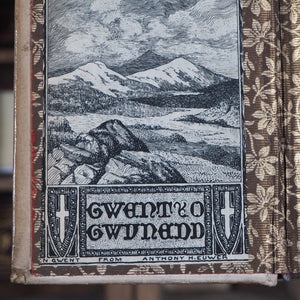 Sacchetti, Franco. Novelle cittadino fiorentino. G. Barbera, editore. Firenze. 1860. >>MINIATURE BOOKS WITH OCCULT ASSOCIATION IN GOTHIC BOOKCASE<<