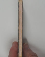 Load image into Gallery viewer, ROLLWAGEN, J[ohan]. G[eorg]. Carolinen Strasse. Augsburg [1859].
