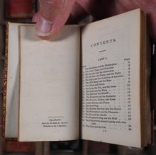Load image into Gallery viewer, Fables and other poems. >>MINIATURE CATHEDRAL BINDING<< Gay, John. Publication Date: 1824 CONDITION: VERY GOOD
