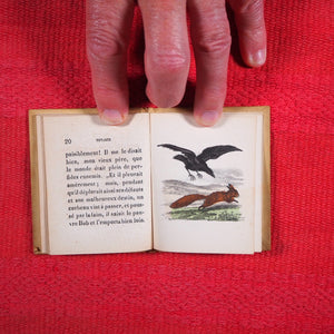 Voyages et aventures de Bob l'écureuil. Texte traduit de l'anglais. >>MINIATURE FRENCH BOOK OF A SQUIRREL<< Publication Date: 1834 CONDITION: VERY GOOD