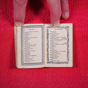Emblematic Language of Flowers. >>ENCHANTING HARLEQUIN BORDERS<< Publication Date: 1844 CONDITION: GOOD