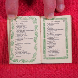 Emblematic Language of Flowers. >>ENCHANTING HARLEQUIN BORDERS<< Publication Date: 1844 CONDITION: GOOD