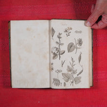 Load image into Gallery viewer, Principles of Botany, And of Vegetable Physiology. Translated from the German. WILLDENOW, D. C[arl], [Ludwig]. Published by William Blackwood and Cadell and Davies. Edinburgh First edition. 8vo, 1805 HARDCOVER
