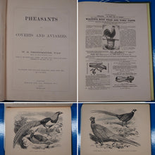 Load image into Gallery viewer, Pheasants for Coverts and Aviaries. Tegetmeier, W[illiam].B[ernhardt]. Publication Date: 1873 Condition: Very Good
