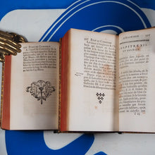 Load image into Gallery viewer, Essai sur l&#39;état du commerce d&#39;Angleterre. CARY, JOHN (Author), Georges-Marie Butel-Dumont (Translator, with additions). Publication Date: 1755 Condition: Very Good
