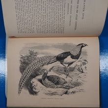 Load image into Gallery viewer, Pheasants for Coverts and Aviaries. Tegetmeier, W[illiam].B[ernhardt]. Publication Date: 1873 Condition: Very Good
