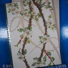 Load image into Gallery viewer, Book of White Flowers - Twenty four paintings Lloyd, Christopher (foreword), Cameron, Elizabeth (artist) Published by K.D. Duval, Frenich, Foss, 1980 Condition: Good Hardcover
