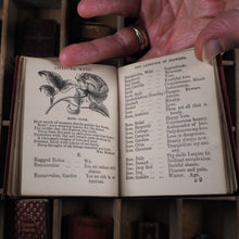 Load image into Gallery viewer, Miniature language of flowers. Burke, Anna Christian. Publication Date: 1864 CONDITION: VERY GOOD
