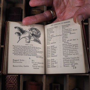 Miniature language of flowers. Burke, Anna Christian. Publication Date: 1864 CONDITION: VERY GOOD