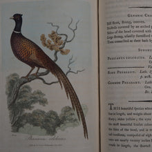 Load image into Gallery viewer, British Ornithology: being the History with a coloured representation of every known Species of British Birds. GRAVES, George (1784-1839). Publication Date: 1811 Condition: Good
