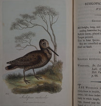 Load image into Gallery viewer, British Ornithology: being the History with a coloured representation of every known Species of British Birds. GRAVES, George (1784-1839). Publication Date: 1811 Condition: Good
