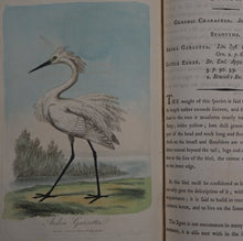 Load image into Gallery viewer, British Ornithology: being the History with a coloured representation of every known Species of British Birds. GRAVES, George (1784-1839). Publication Date: 1811 Condition: Good
