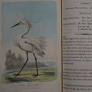 British Ornithology: being the History with a coloured representation of every known Species of British Birds. GRAVES, George (1784-1839). Publication Date: 1811 Condition: Good