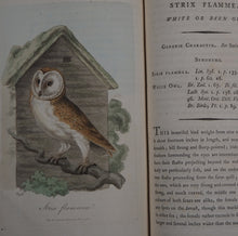 Load image into Gallery viewer, British Ornithology: being the History with a coloured representation of every known Species of British Birds. GRAVES, George (1784-1839). Publication Date: 1811 Condition: Good
