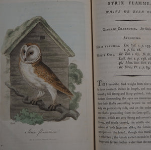 British Ornithology: being the History with a coloured representation of every known Species of British Birds. GRAVES, George (1784-1839). Publication Date: 1811 Condition: Good