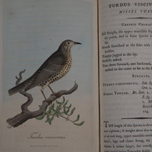 Load image into Gallery viewer, British Ornithology: being the History with a coloured representation of every known Species of British Birds. GRAVES, George (1784-1839). Publication Date: 1811 Condition: Good
