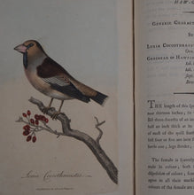 Load image into Gallery viewer, British Ornithology: being the History with a coloured representation of every known Species of British Birds. GRAVES, George (1784-1839). Publication Date: 1811 Condition: Good

