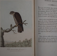 Load image into Gallery viewer, British Ornithology: being the History with a coloured representation of every known Species of British Birds. GRAVES, George (1784-1839). Publication Date: 1811 Condition: Good
