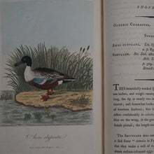 Load image into Gallery viewer, British Ornithology: being the History with a coloured representation of every known Species of British Birds. GRAVES, George (1784-1839). Publication Date: 1811 Condition: Good
