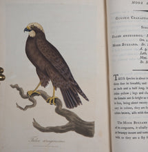 Load image into Gallery viewer, British Ornithology: being the History with a coloured representation of every known Species of British Birds. GRAVES, George (1784-1839). Publication Date: 1811 Condition: Good
