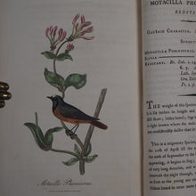 Load image into Gallery viewer, British Ornithology: being the History with a coloured representation of every known Species of British Birds. GRAVES, George (1784-1839). Publication Date: 1811 Condition: Good
