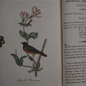British Ornithology: being the History with a coloured representation of every known Species of British Birds. GRAVES, George (1784-1839). Publication Date: 1811 Condition: Good