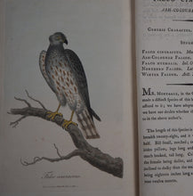 Load image into Gallery viewer, British Ornithology: being the History with a coloured representation of every known Species of British Birds. GRAVES, George (1784-1839). Publication Date: 1811 Condition: Good
