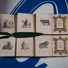 Load image into Gallery viewer, My Own Library. Tilt's Handbooks for Children.The Little Library.6 volumes.Original wooden case. ISABELLA CHILD, W.MAY AND C[harles] WILLIAMS Publication Date: 1835. >>MINIATURE BOOKS<<
