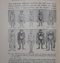 Load image into Gallery viewer, Evolution-Fact and Theory. &gt;&gt;CHARLES DARWIN&#39;S GREAT GRANDSON&#39;S COPY&lt;&lt;&lt; H.G.WELLS, JULIAN HUXLEY &amp; G.P.WELLS. Publication Date: 1934 Condition: Very Good
